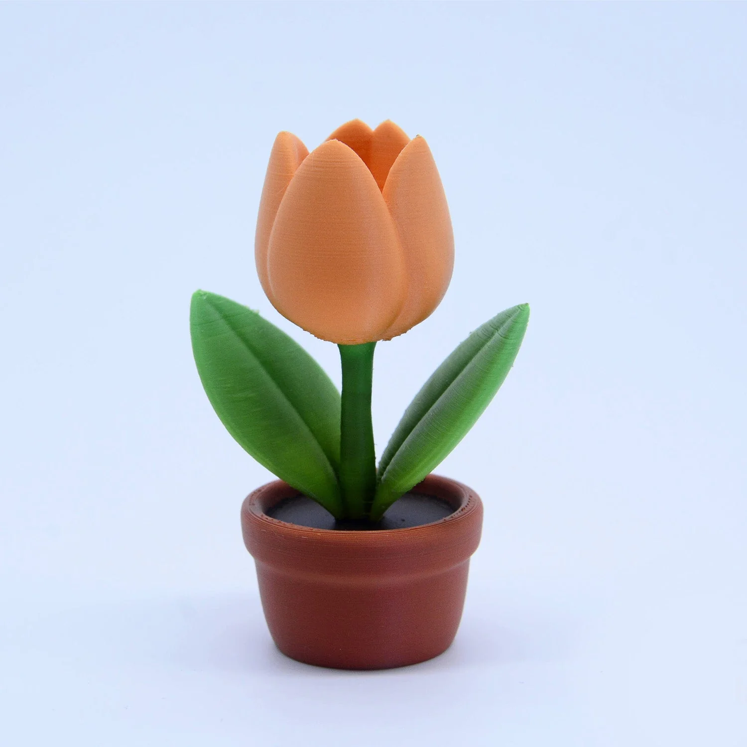 Miniatura 10